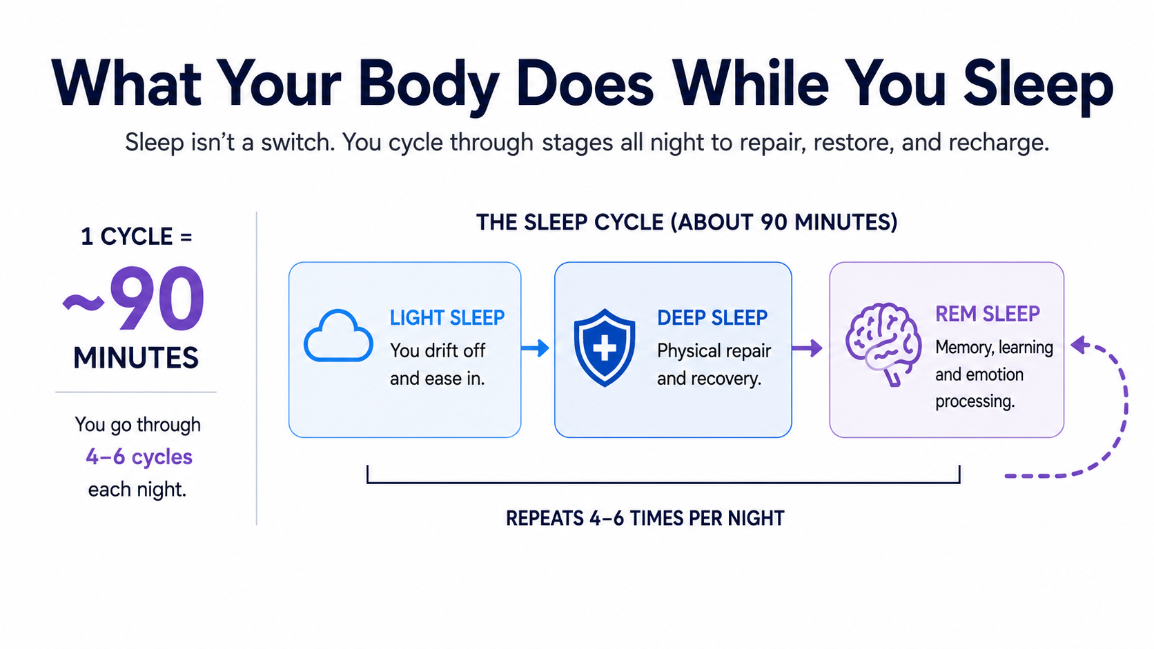 What your body Does