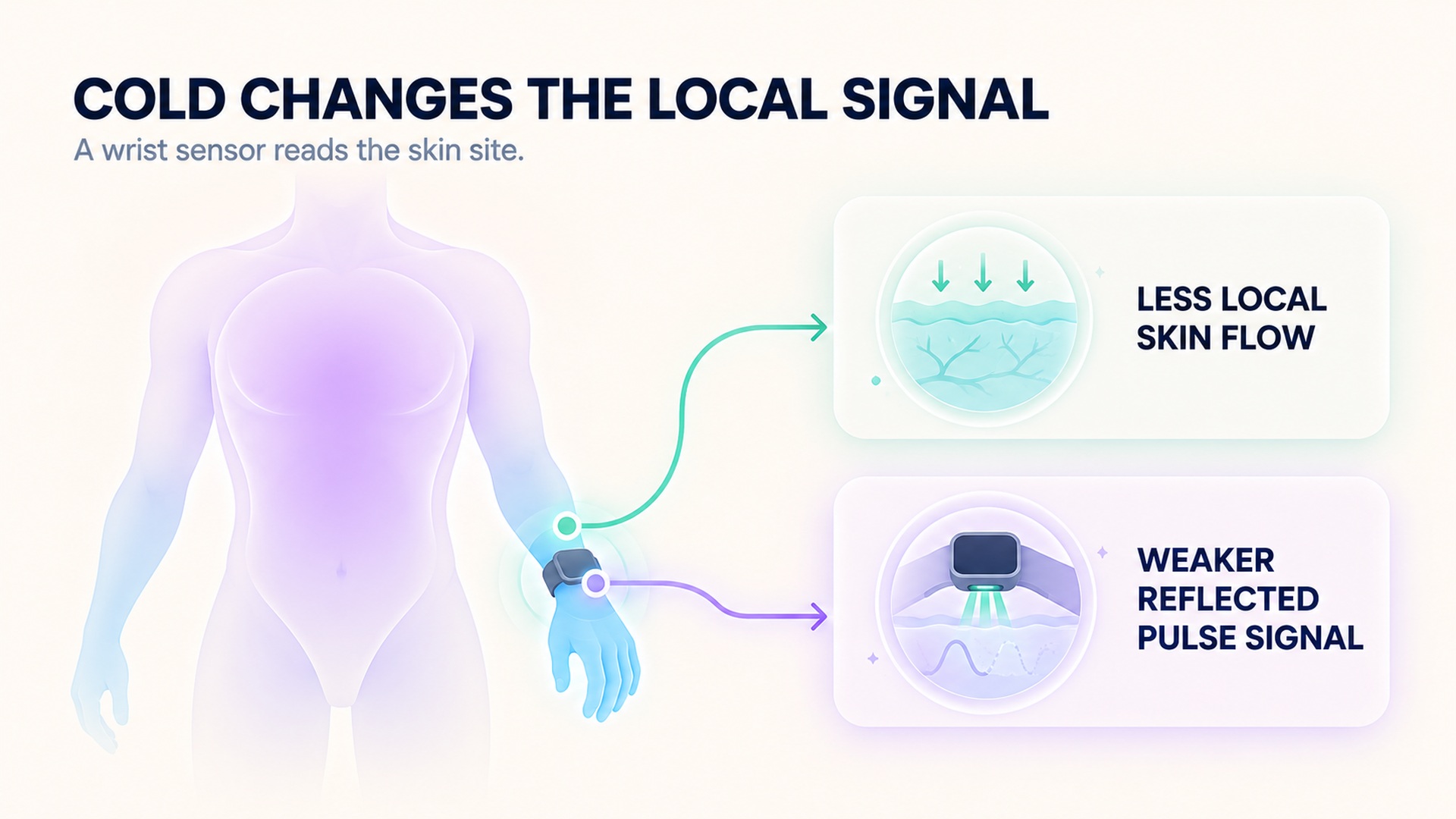 A qualitative pathway from cold exposure to local skin-flow change and a weaker reflected pulse signal at a wrist sensor.