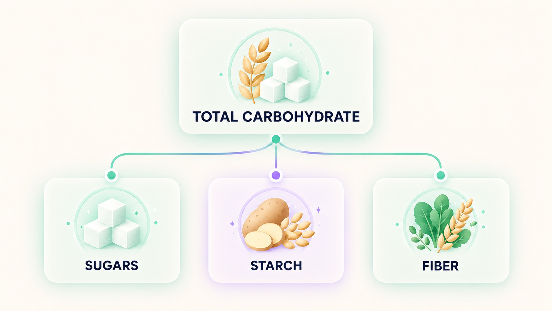 Total carbohydrate includes sugars, starch, and fiber.