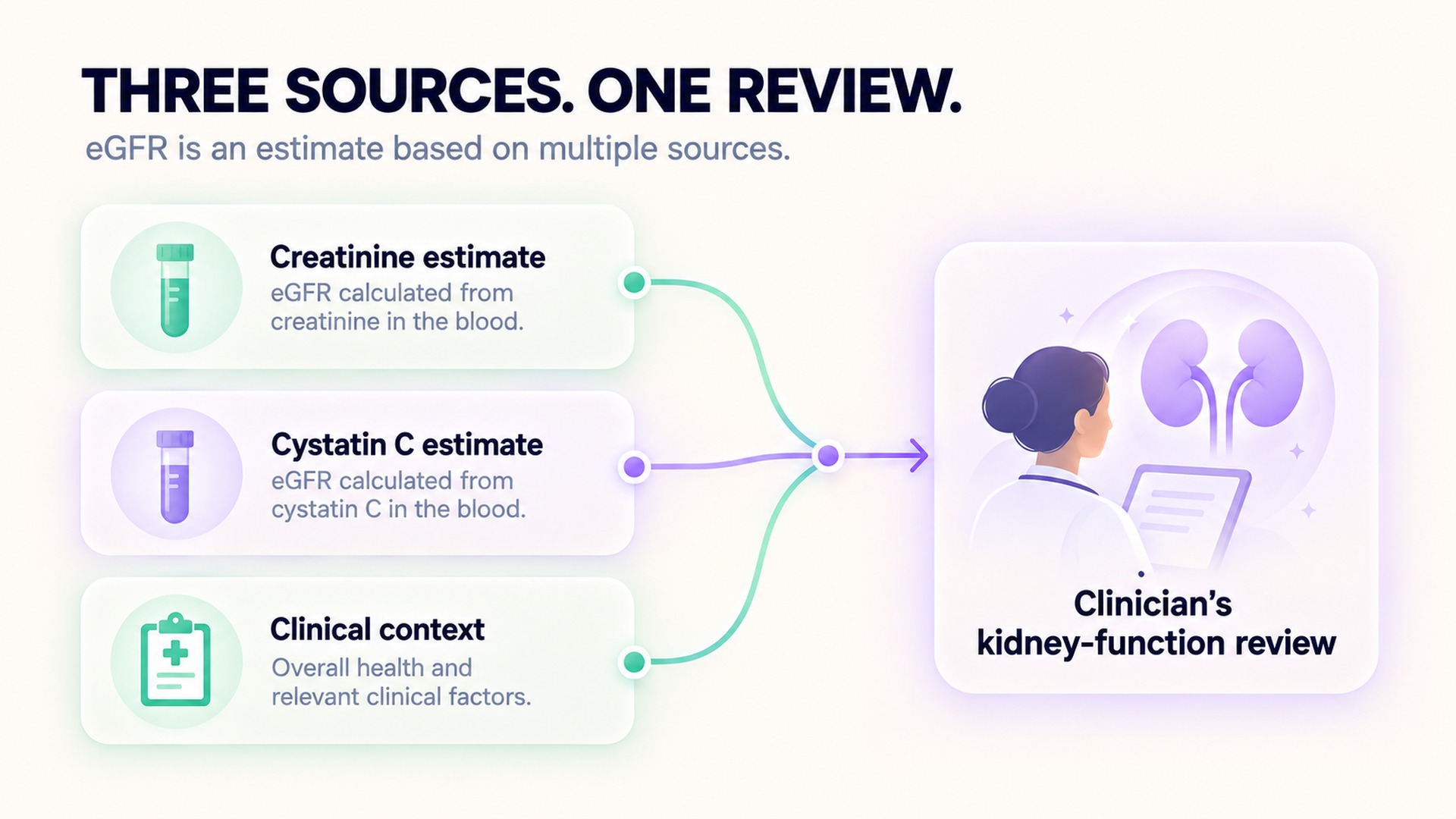 Creatinine, cystatin C, and clinical context support a kidney-function review.