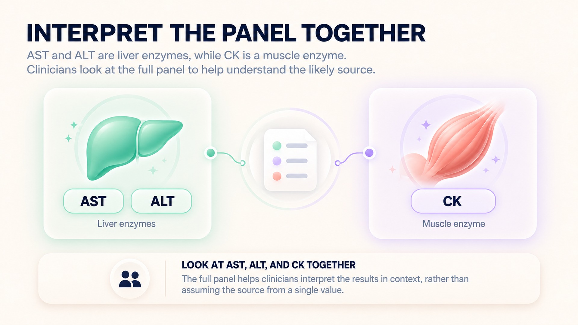 AST and ALT are liver enzymes; CK is a muscle enzyme.